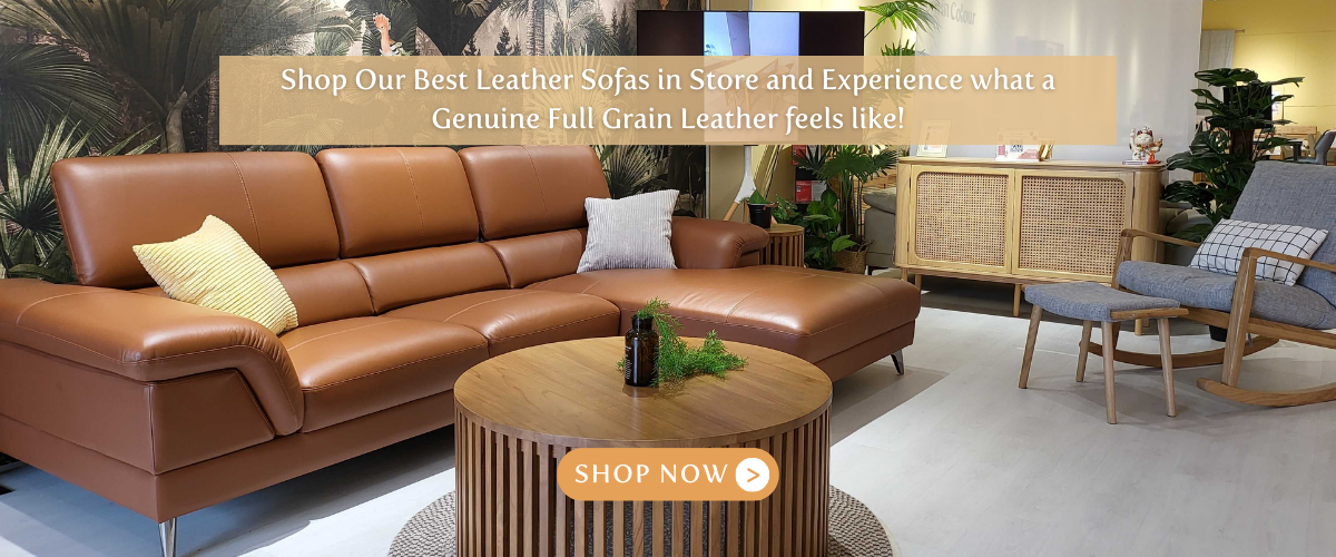 Best Sofas