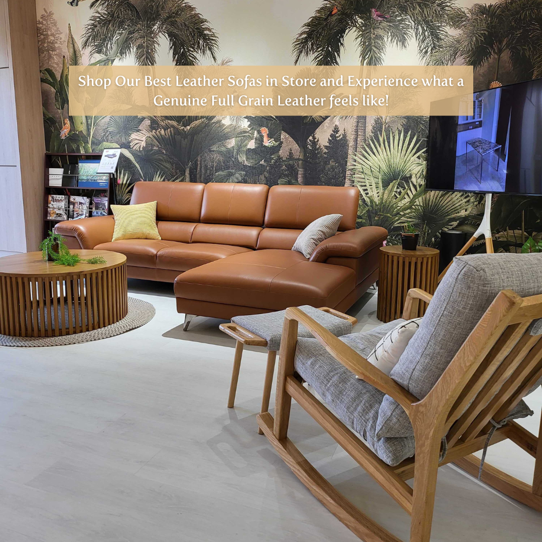Best Sofas