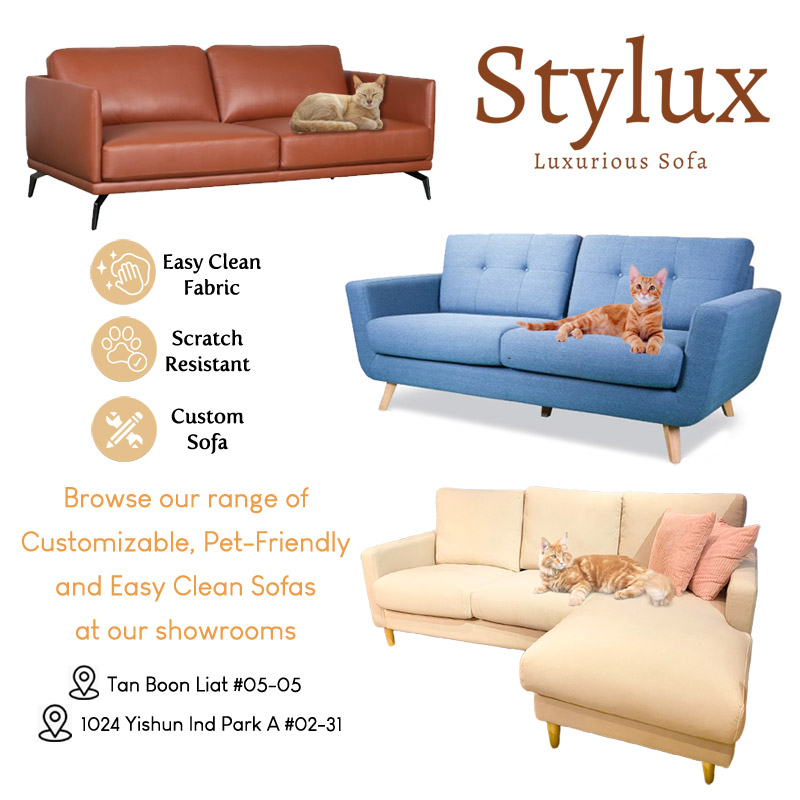 Pet Friendly Scratch Resistant Fabric Sofa New Launch